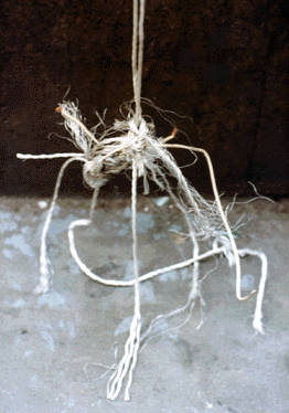 Image of string2.gif